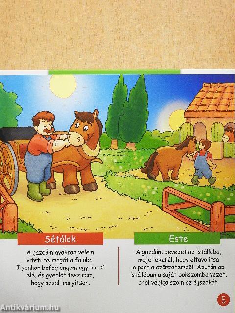 A ló
