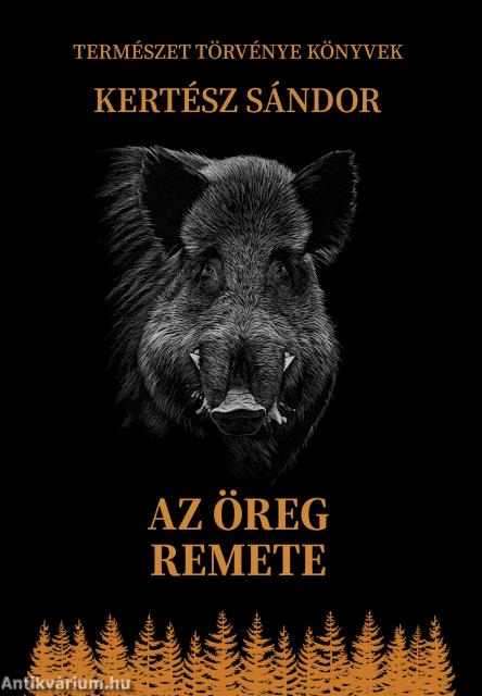 Az öreg remete