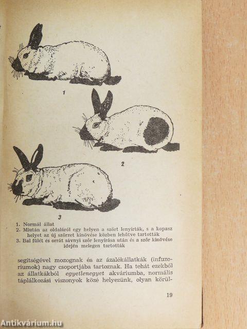 Az öröklődés alapjai