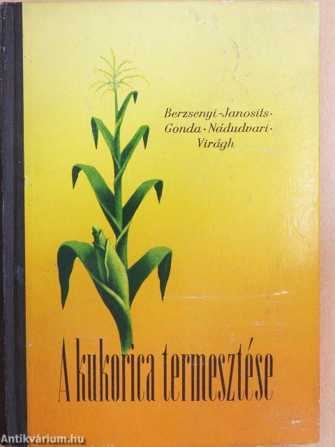A kukorica termesztése