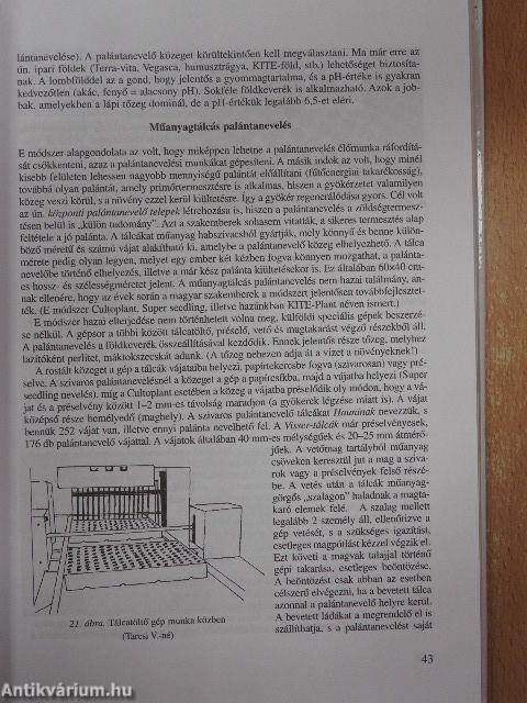 Piacos zöldségtermesztés