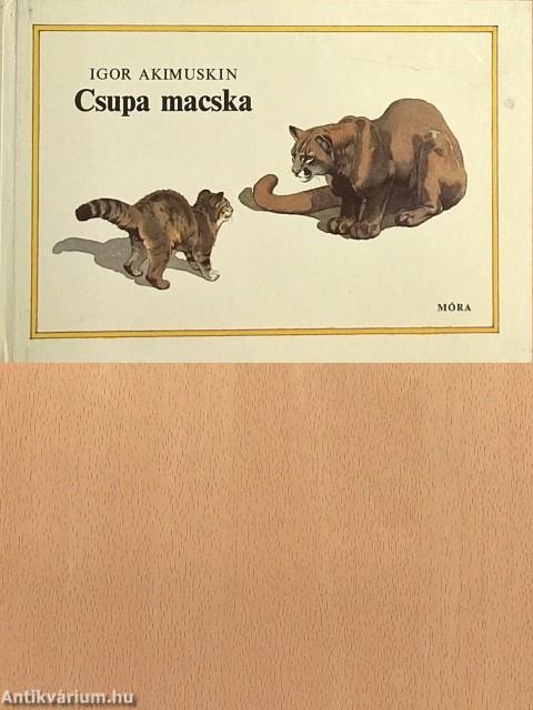 Csupa macska