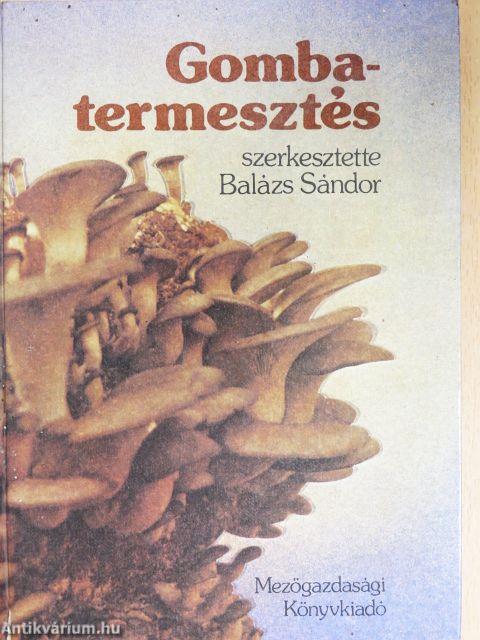 Gombatermesztés