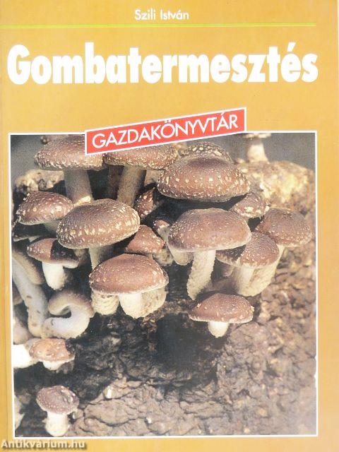 Gombatermesztés