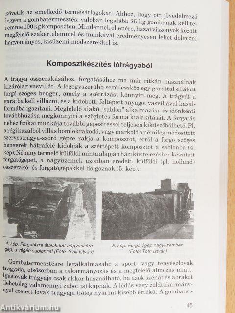 Gombatermesztés