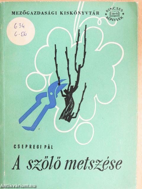A szőlő metszése