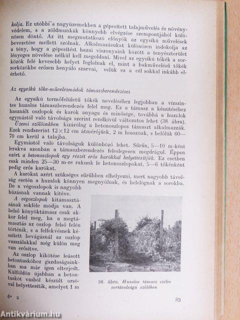 A szőlő metszése