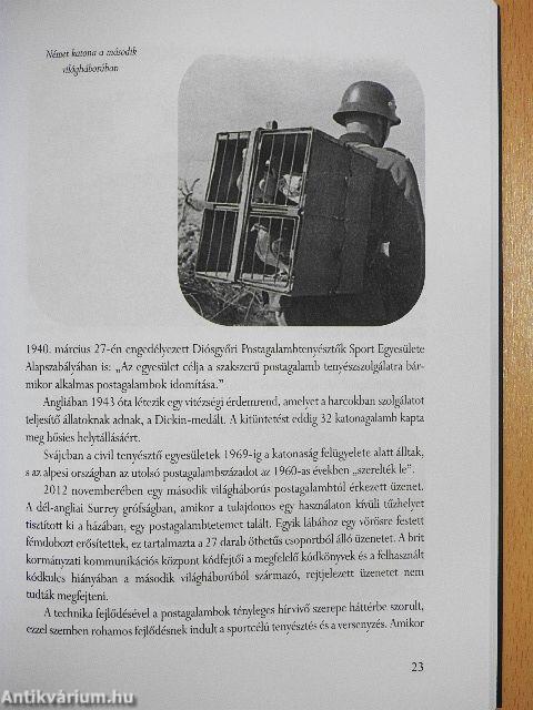 A postagalambokról