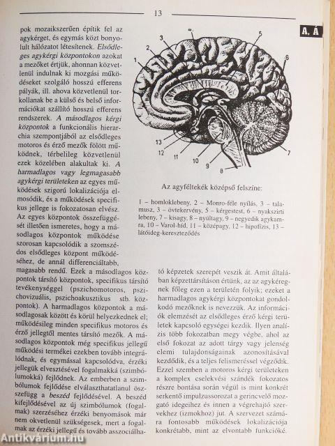 A család háziorvosa