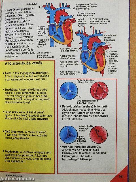 Képes Usborne enciklopédia