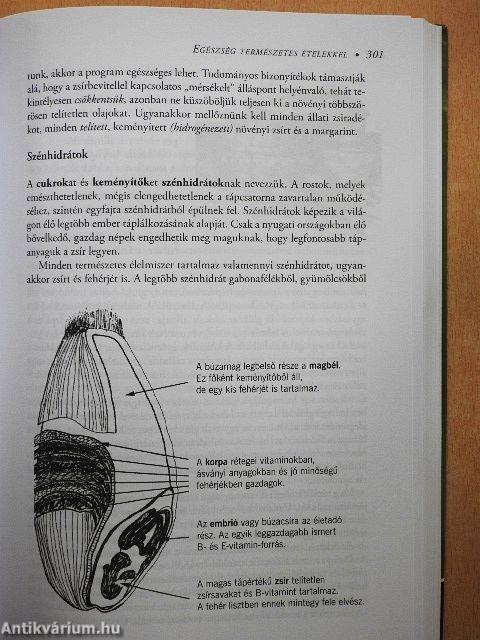 Gyógyuljunk otthon