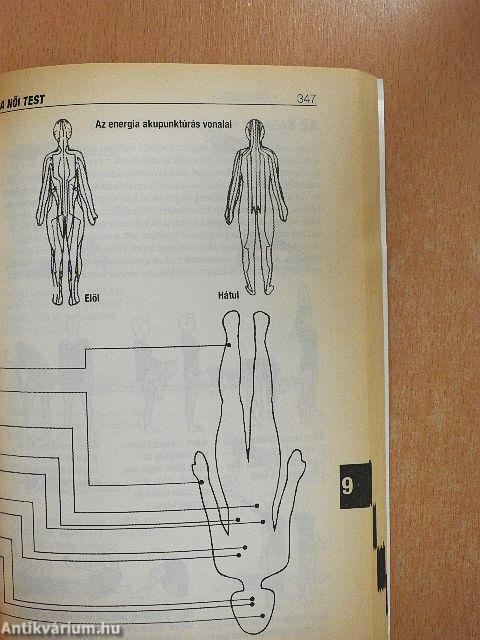 A női test kézikönyve