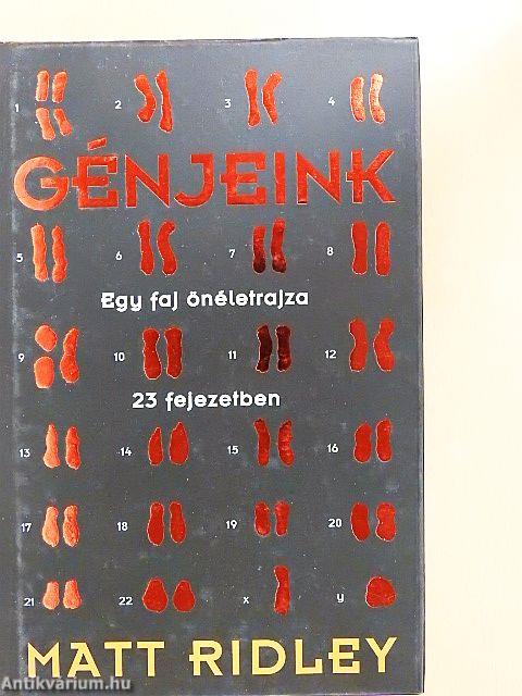 Génjeink