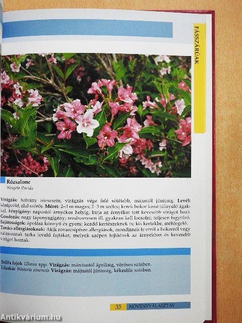 Allergiamentes kertek