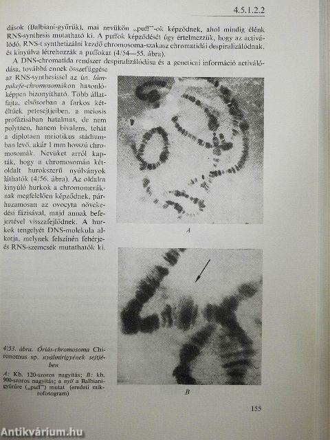 Biologia
