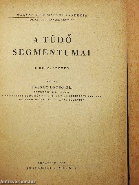 A tüdő segmentumai