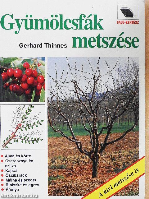 Gyümölcsfák metszése