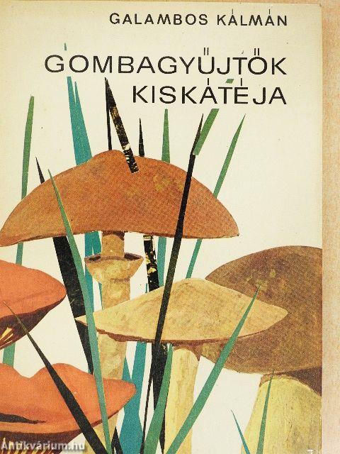 Gombagyűjtők kiskátéja