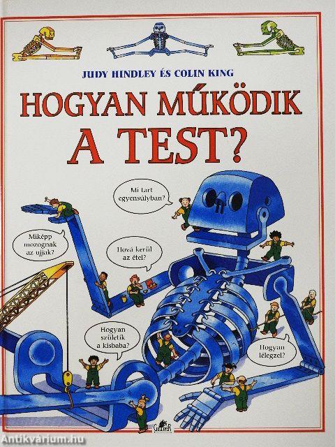 Hogyan működik a test?