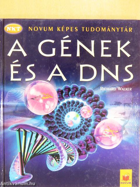 A gének és a DNS