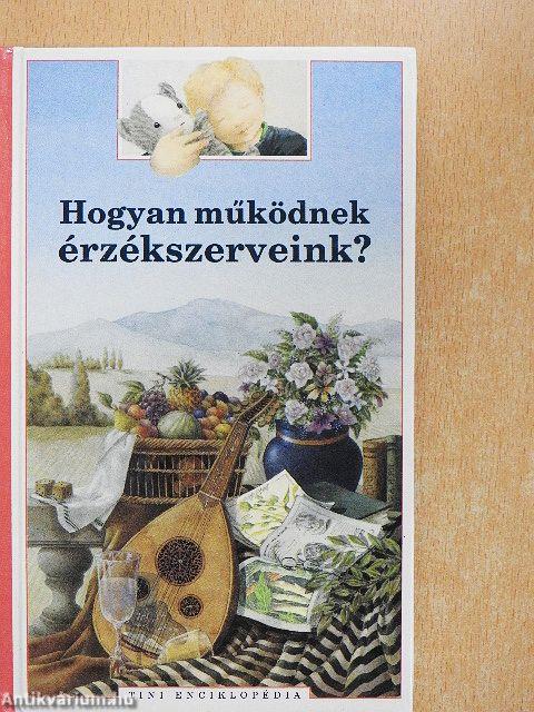 Hogyan működnek érzékszerveink?