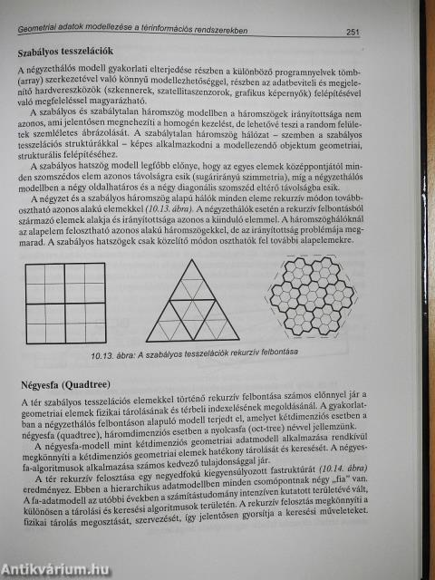 Térinformatika (dedikált példány)
