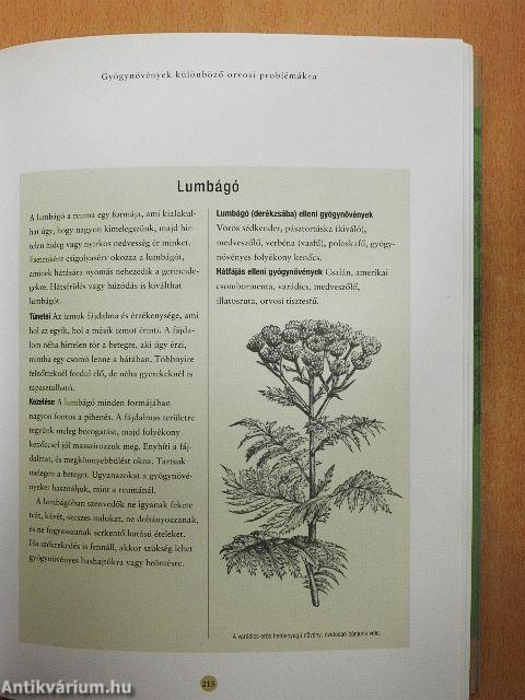Gyógyító növények