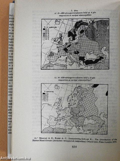 Helyünk Európában I-II.