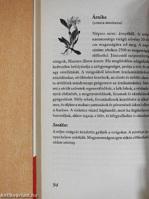 Az allergia