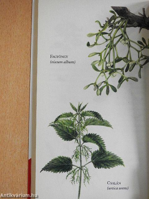 Az allergia
