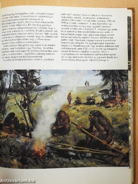 Az őskori ember