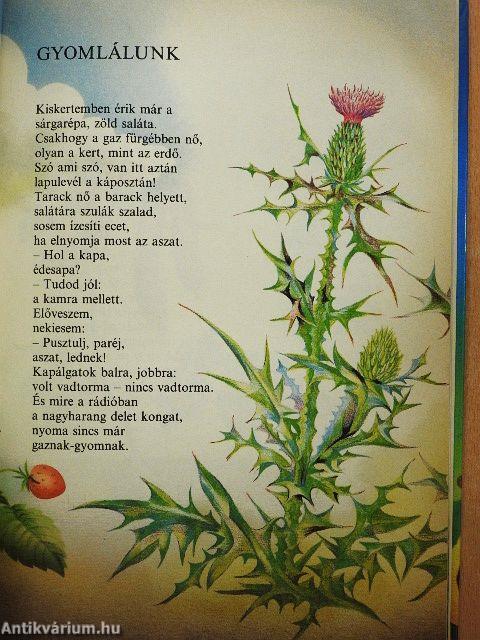 Ábécéskert