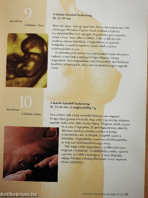 A terhesség ABC-je