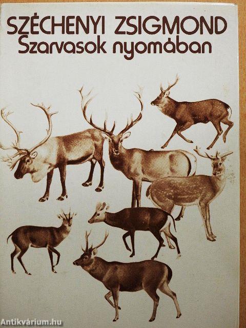 Szarvasok nyomában