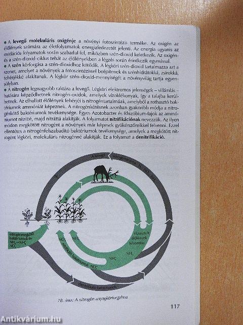 Az élő természet