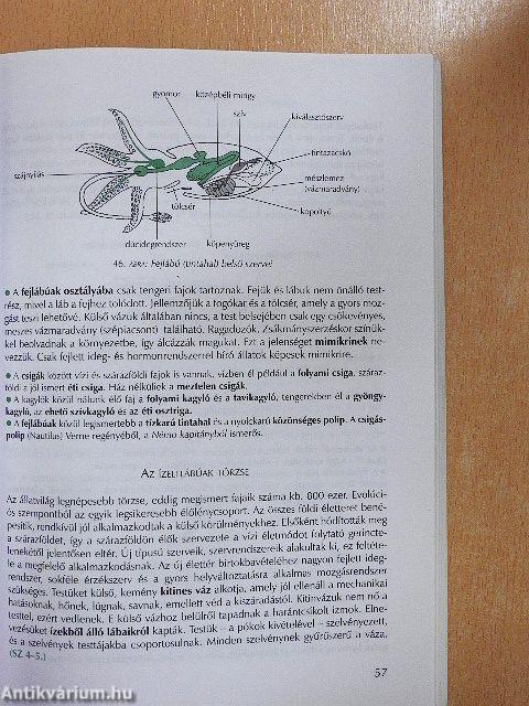 Az élő természet