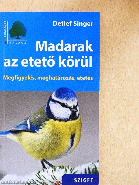 Madarak az etető körül