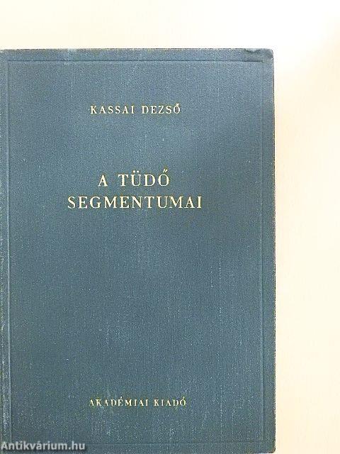 A tüdő segmentumai I-II.