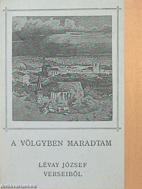 A völgyben maradtam