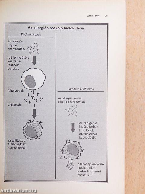 Nagy allergiakönyv