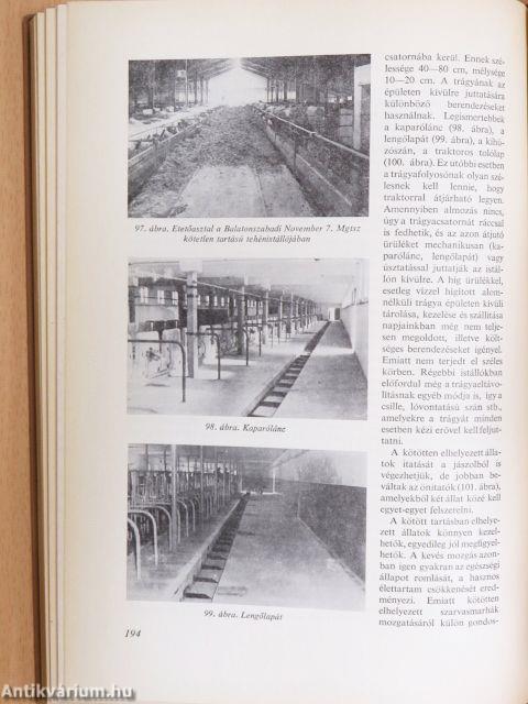 Állattenyésztés 2.