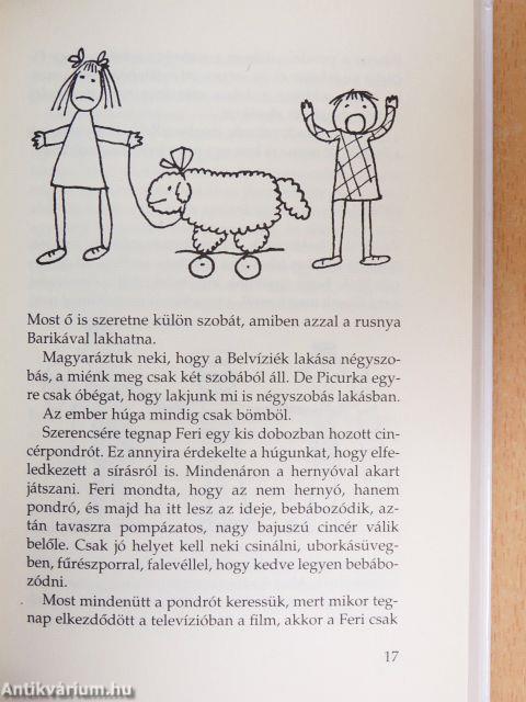 Szeleburdi család