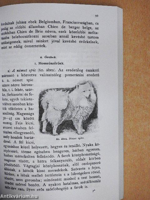 Ebtenyésztés