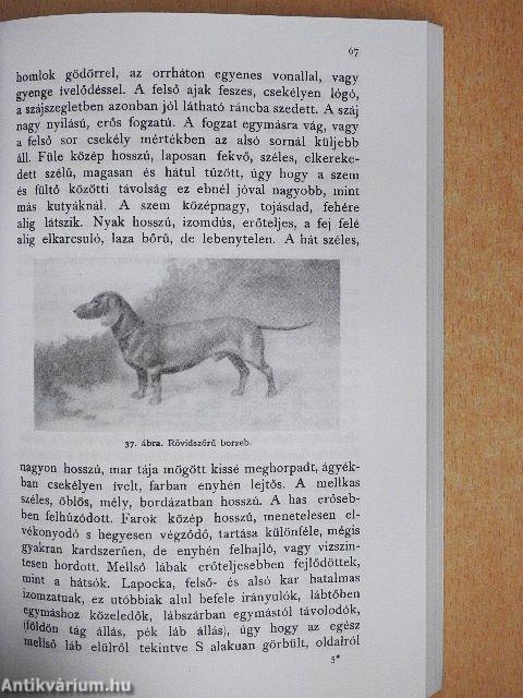Ebtenyésztés