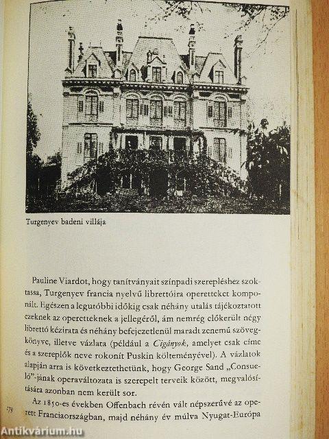 Turgenyev világa