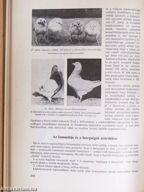 Állattenyésztés 1.