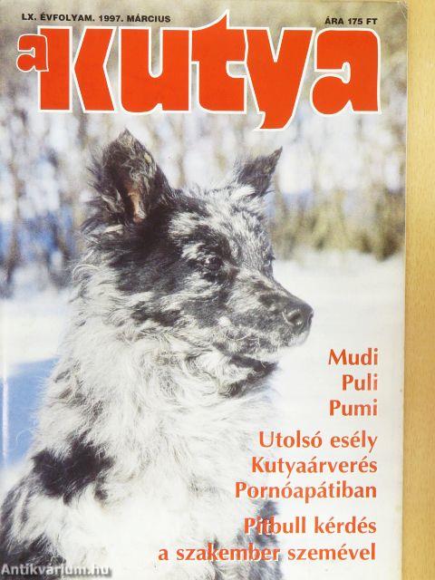 A Kutya 1997. március