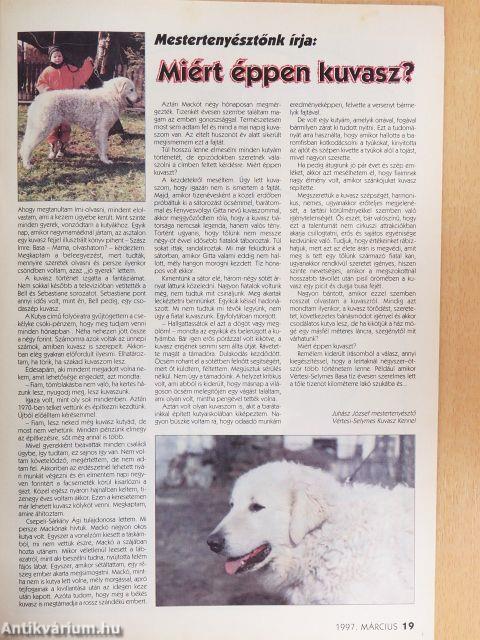 A Kutya 1997. március