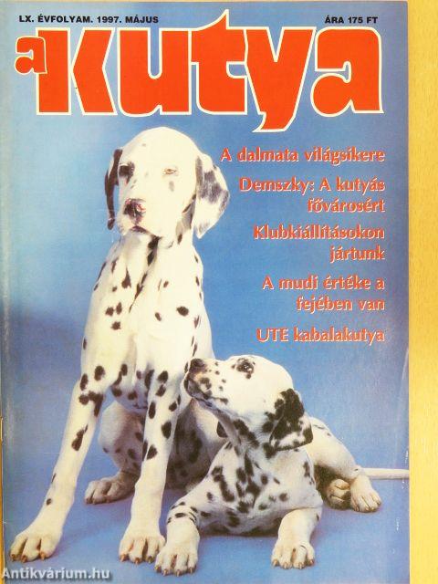 A Kutya 1997. május