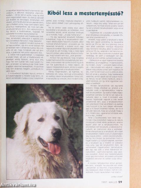 A Kutya 1997. május